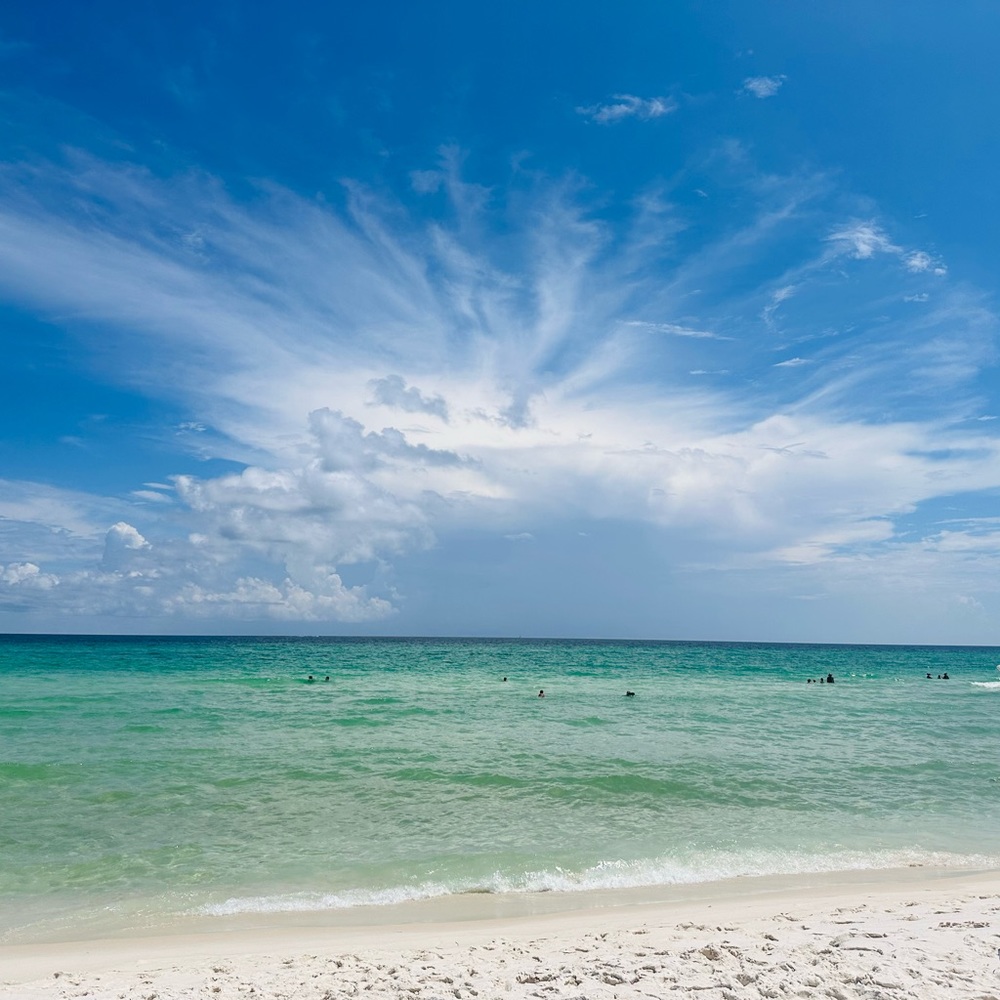 Meet your Posher, Nessa